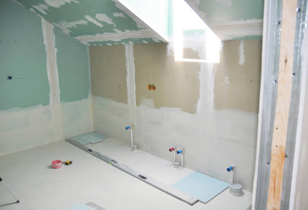 Best Mold Damage Restoration  in French Lick, IN