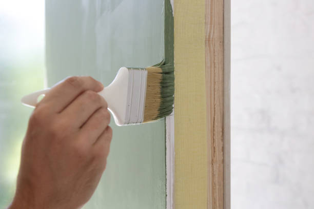 Best Black Mold Removal  in French Lick, IN