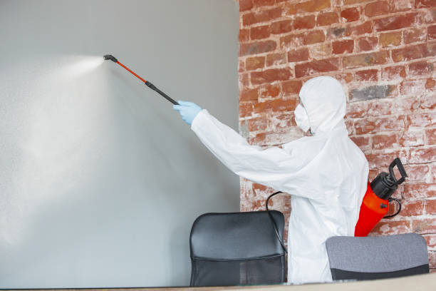 Best Real Estate Mold Inspection  in French Lick, IN