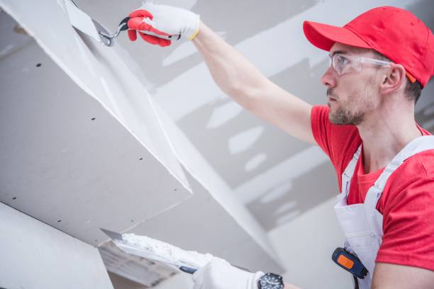 Best Mold Removal for HVAC Installations  in French Lick, IN